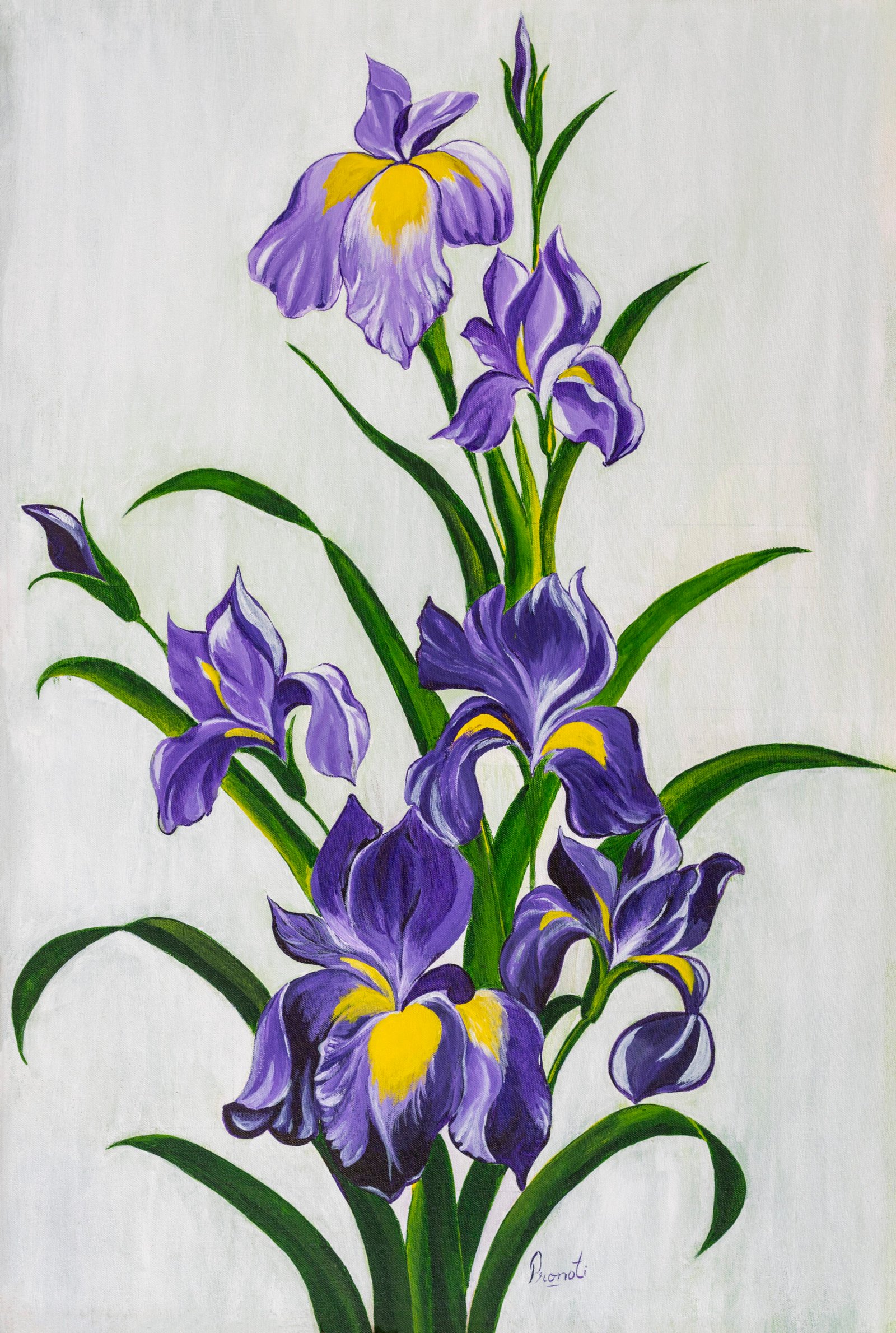 Iris-istible